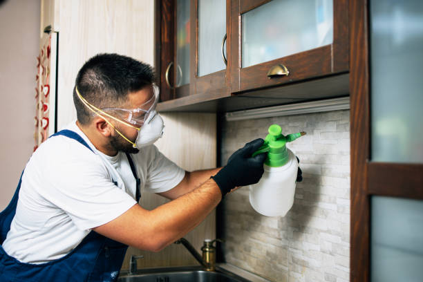 Best Affordable Pest Control Services  in Corsicana, TX
