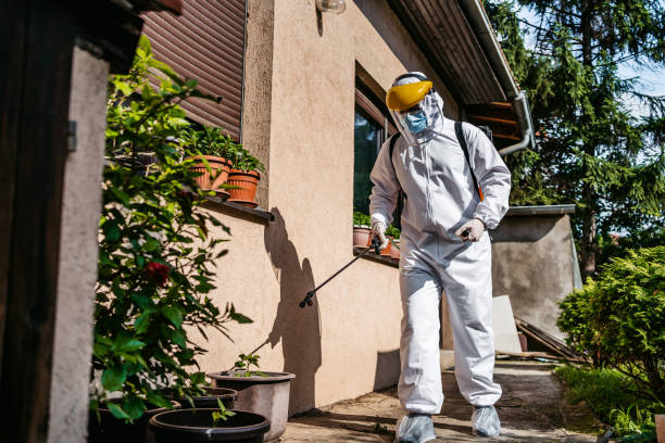 Best Mosquito Control Services  in Corsicana, TX