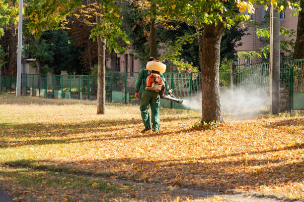 Best Flea Control Services  in Corsicana, TX