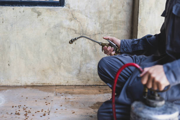 Best Exterminator Services  in Corsicana, TX
